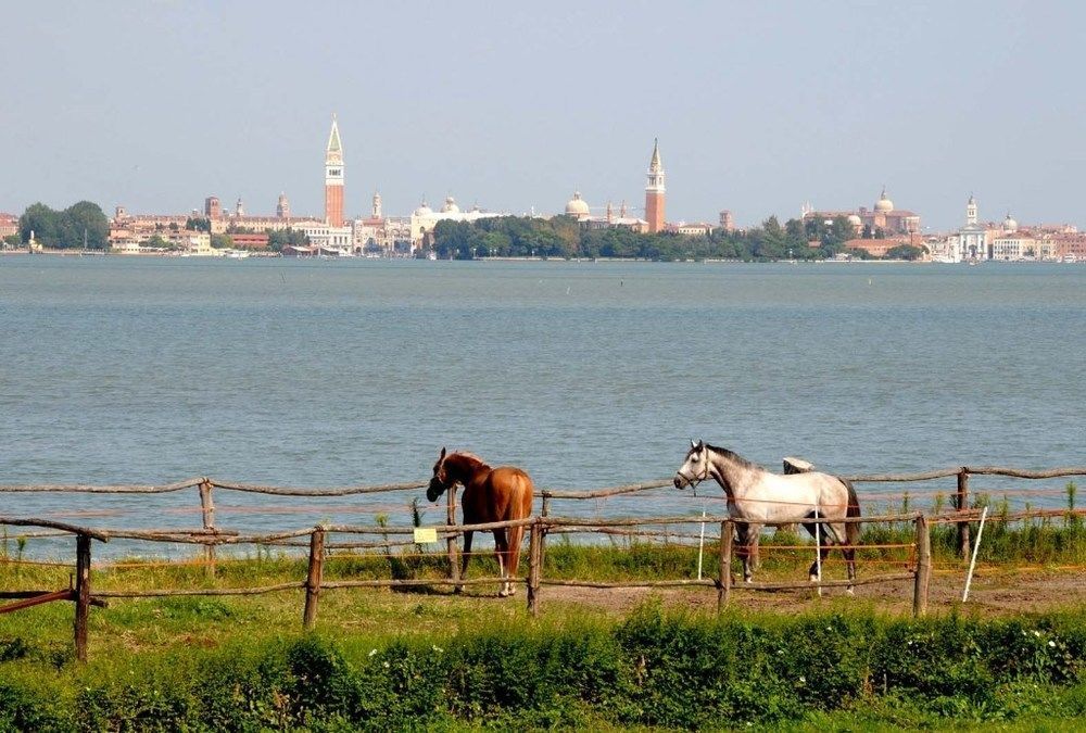 Hotel Russo Palace Lido di Venezia Bagian luar foto